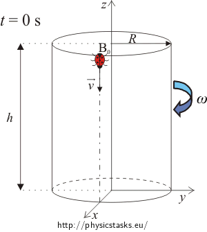 Ladybug on cylinder in time 0 s Ladybug on cylinder in time 0 s