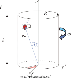 Ladybug on cylinder in time t Ladybug on cylinder in time t